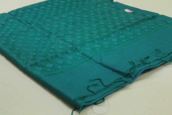 Silk cotton munga saree - Impresa Store